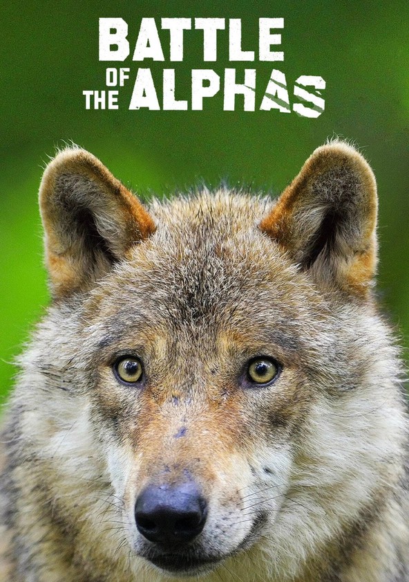 Alphas season 1 best sale episode 1 free online