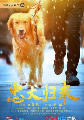 忠犬归来
