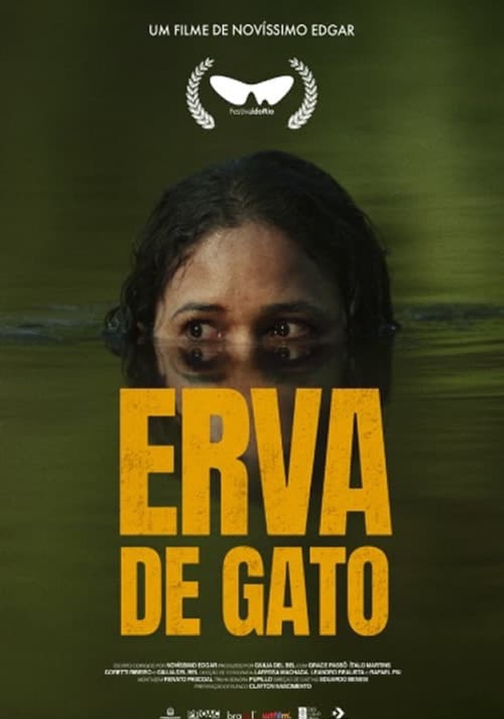 Erva de Gato