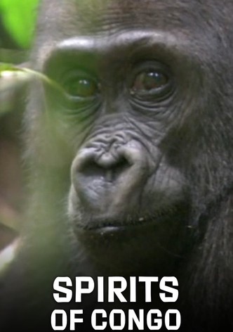 Les esprits du Congo