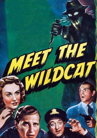 Meet the Wildcat