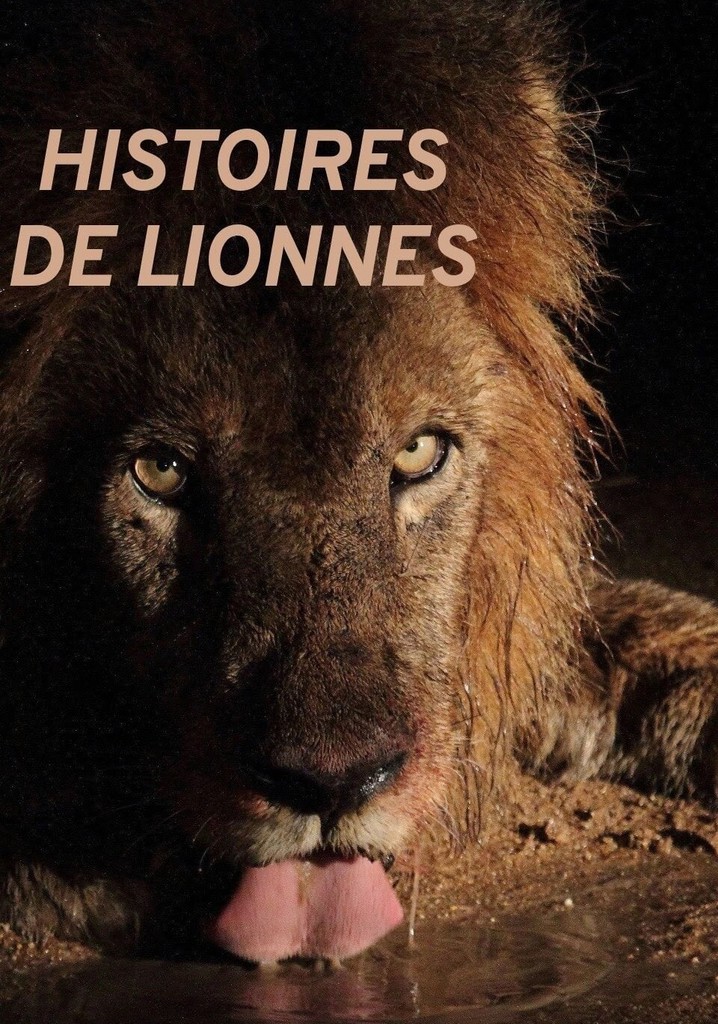 Histoires de lionnes