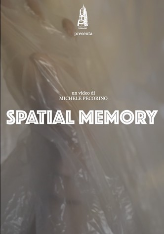 Spatial Memory