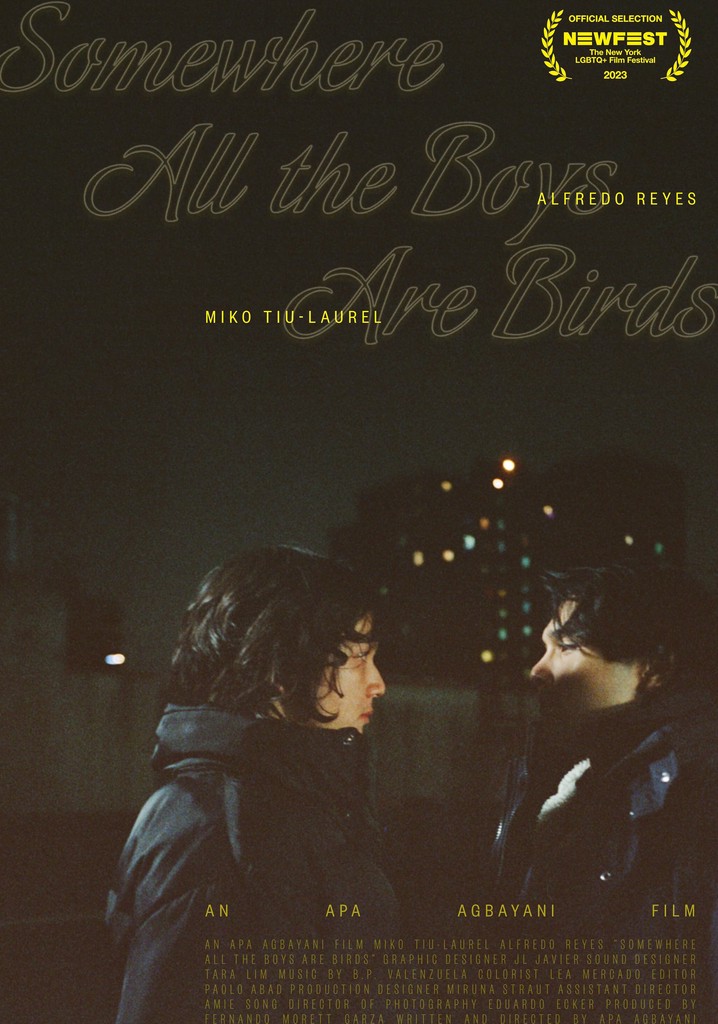 Somewhere all the boys are birds