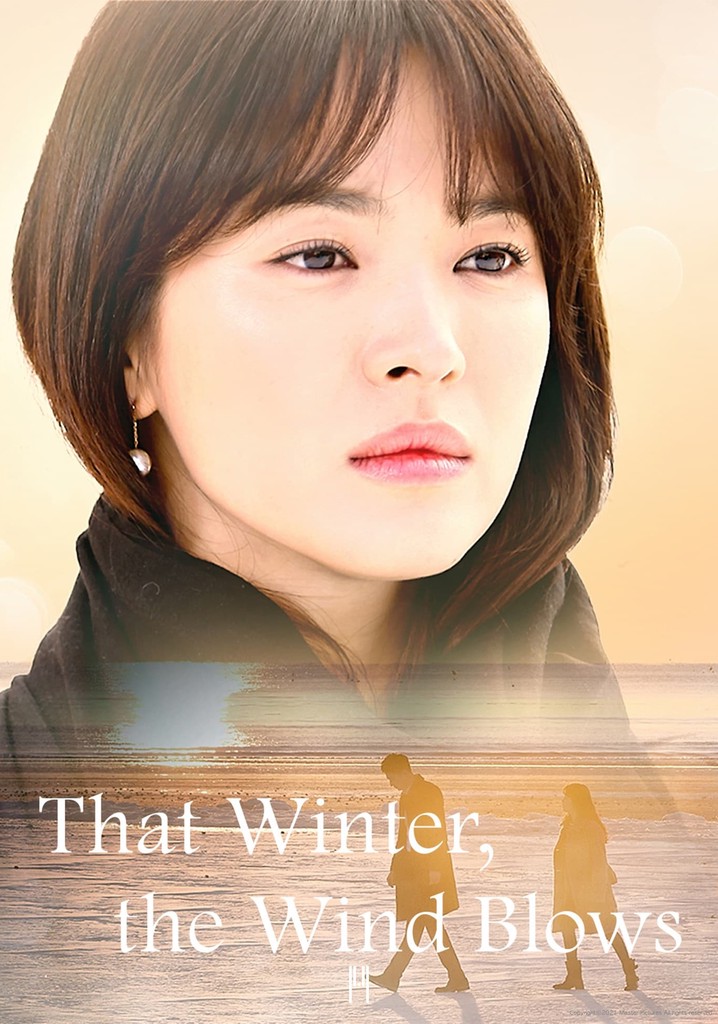 その他 That Winter  The Wind Blows  DVD That Winter, the Wind Blows (Korean Drama - 4DVD Official