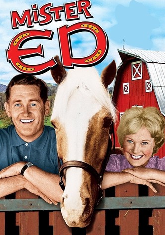 Mister Ed, il mulo parlante