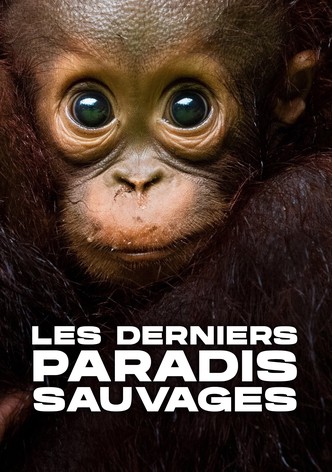 Les Derniers Paradis sauvages