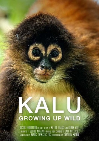 Kalu: Creciendo Salvaje