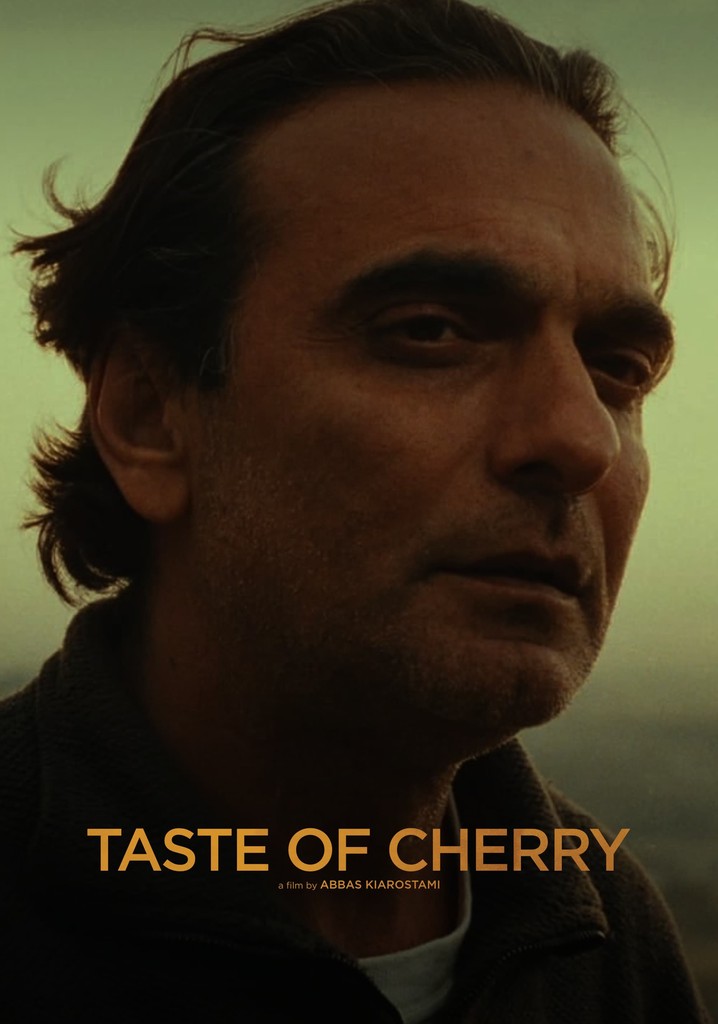 Taste of Cherry streaming: where to watch online?