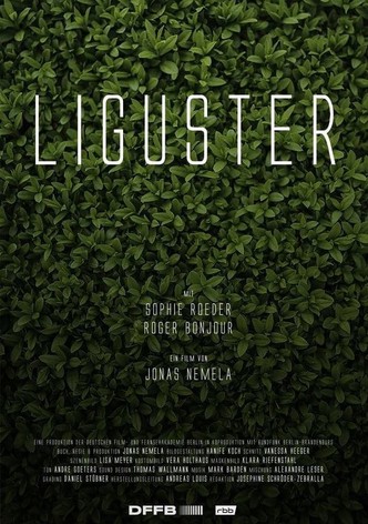 Liguster