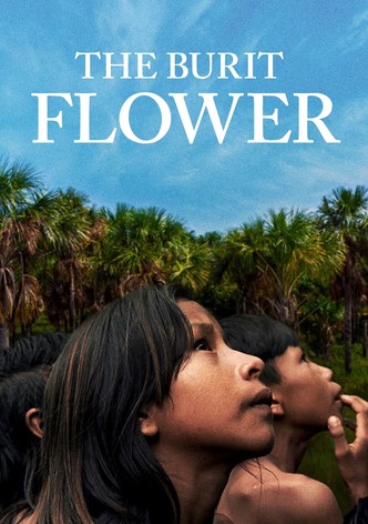 The Buriti Flower