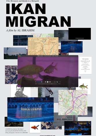 Migrant Fish