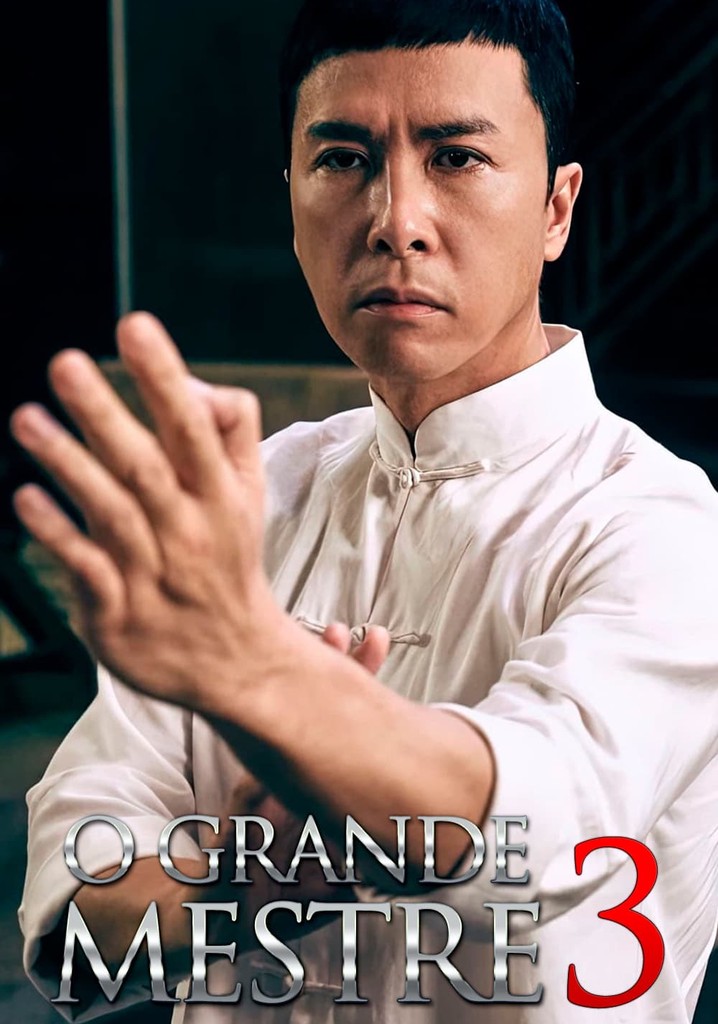 DONNIE YEN - GRANDE MESTRE 3 