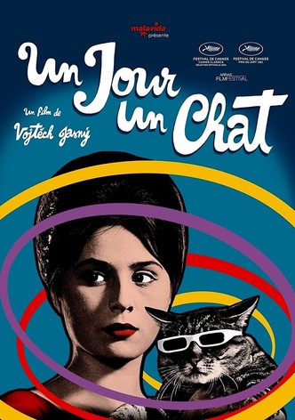 Un jour, un chat…