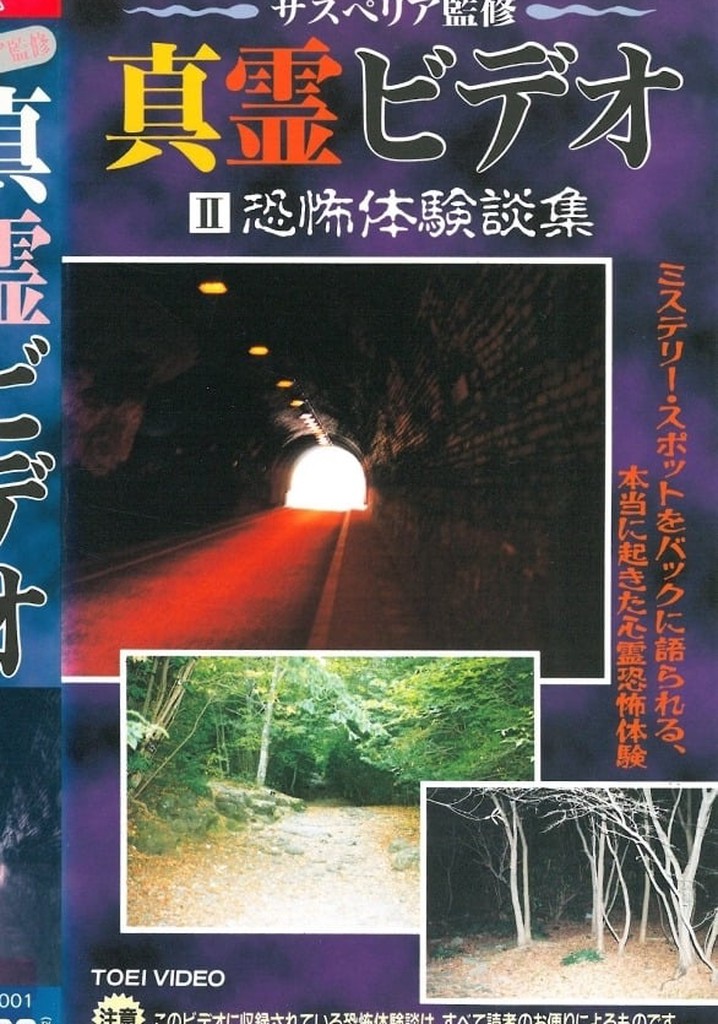 Shin rei bideo II: Kyôfu taikendan-shuu