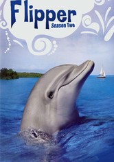 Flipper - Flipper 1995 (Season 2)