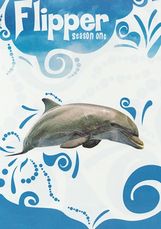 Flipper 1995 (Season 1)