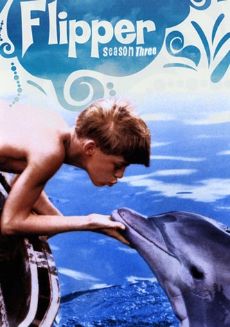 Flipper 1995 (Season 3)