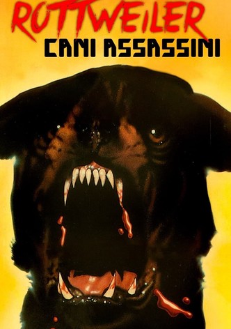 Rottweiler - Cani assassini