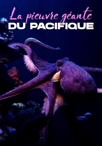 Rendezvous mit Riesenkraken - Die Geschichte von Ellie