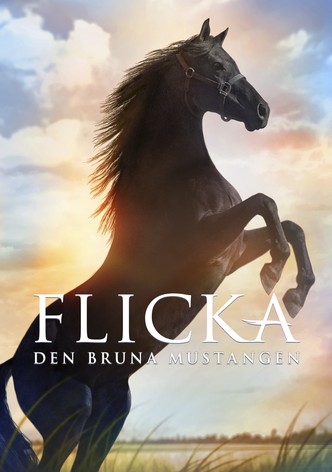 Flicka - Den bruna mustangen