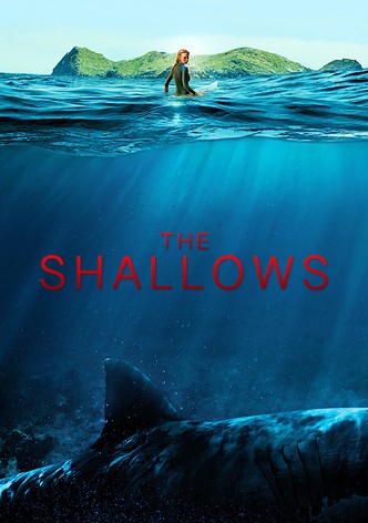 Watch the shallows online best sale free dailymotion