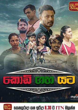 Kodi gaha yata