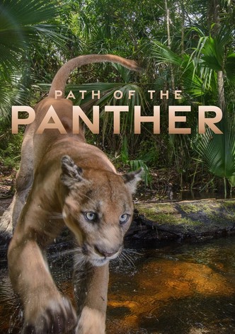 Path of the Panther
