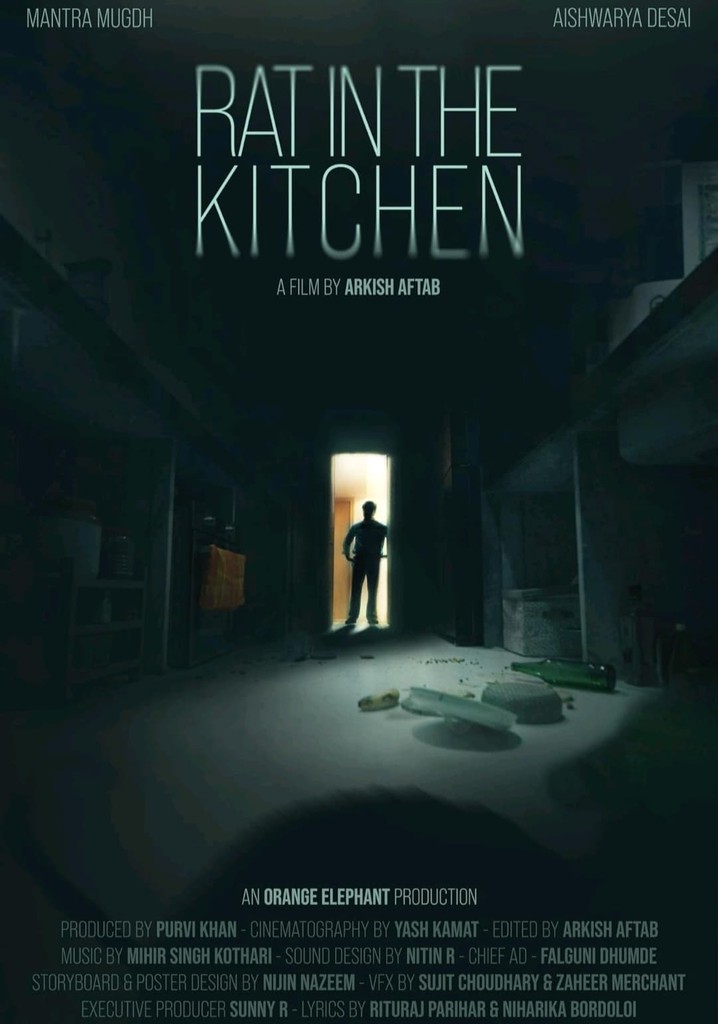 Where Can I Stream Rat In The Kitchen