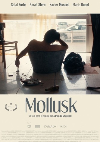 Mollusk