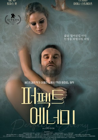퍼펙트 에너미