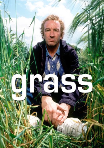 Grass