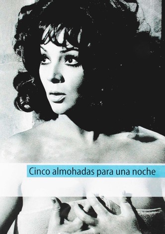 Cinco almohadas para una noche