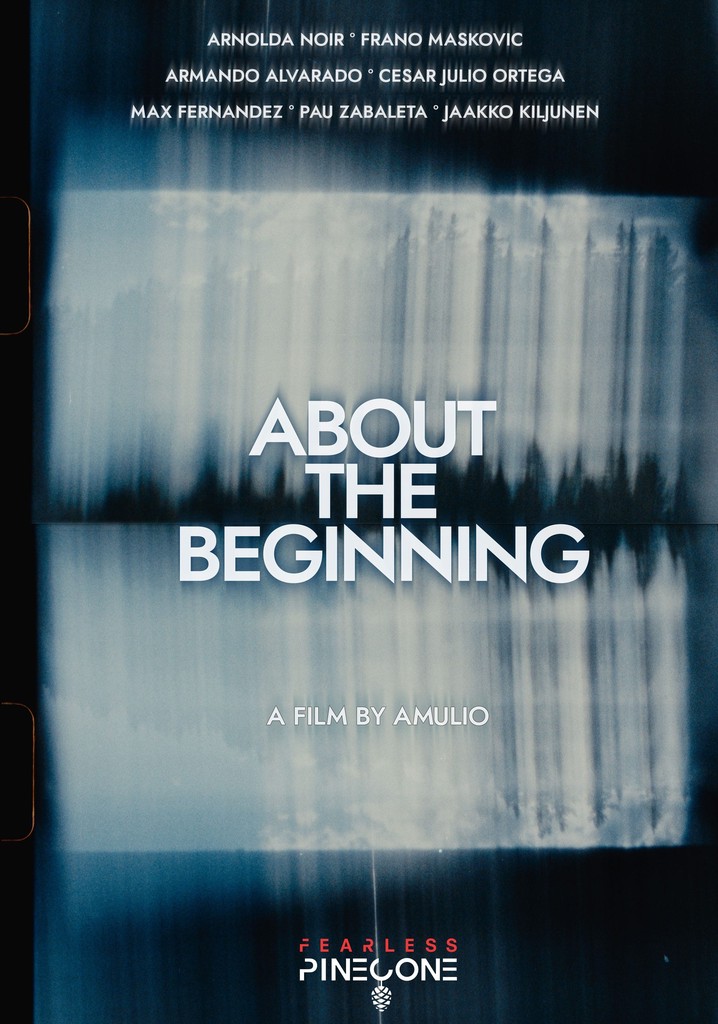 About the Beginning