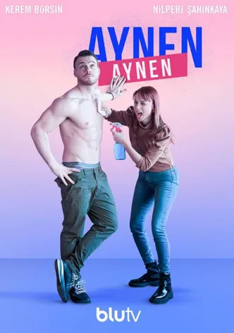 Aynen Aynen poster