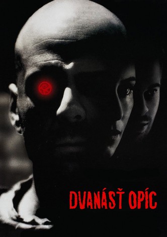 Dvanásť opíc