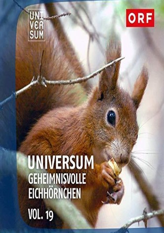 Geheimnisvolle Eichhörnchen