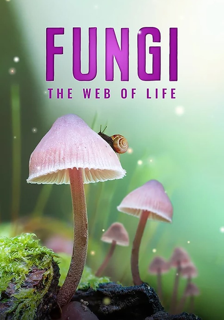 Fungi: The Web of Life