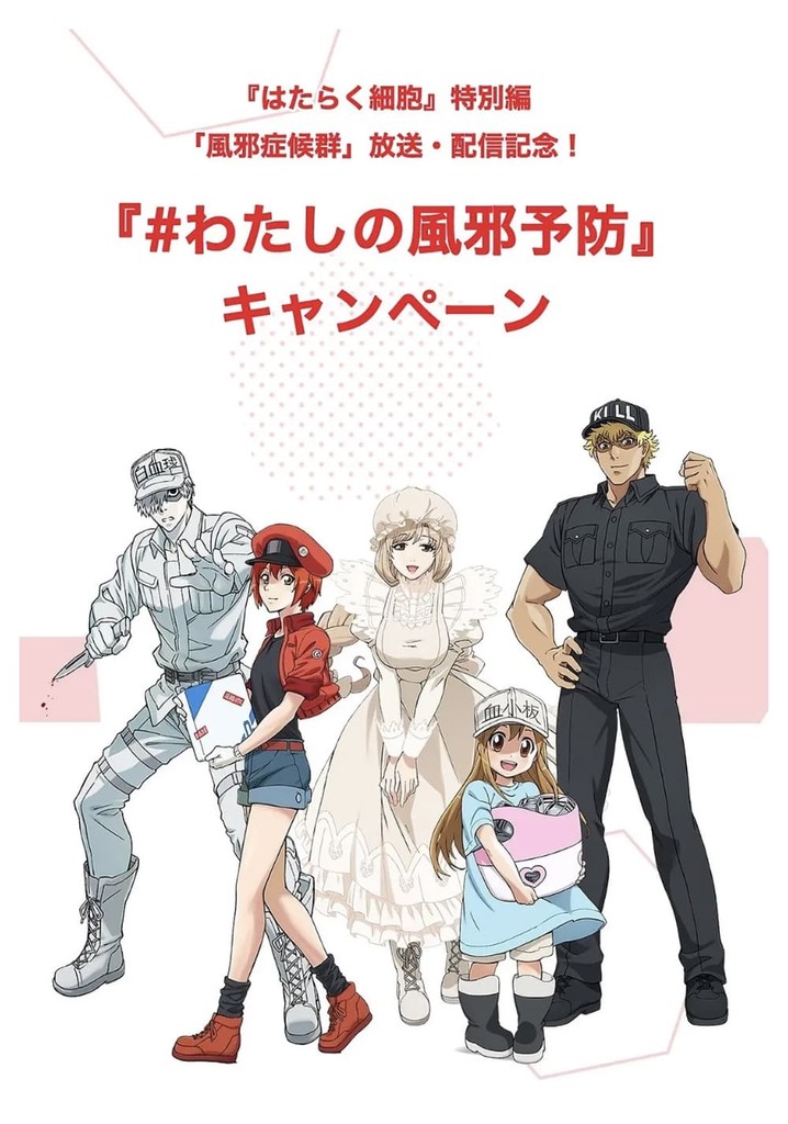 工作细胞特别篇：感冒