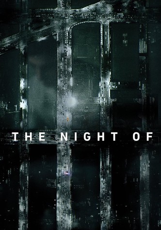 The Night Of - Die Wahrheit einer Nacht