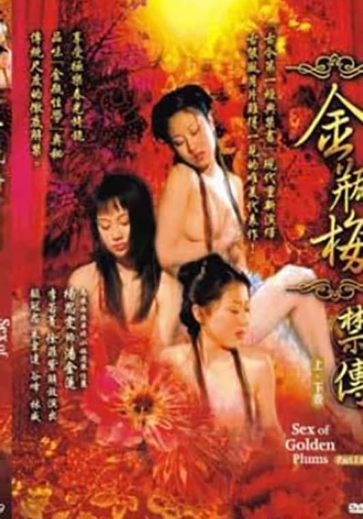 金瓶梅禁传 上卷