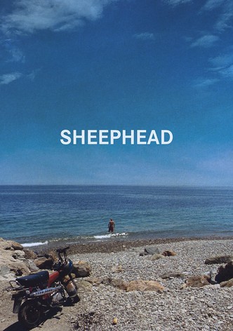 Sheephead