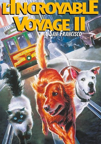 L'incroyable voyage II : À San Francisco