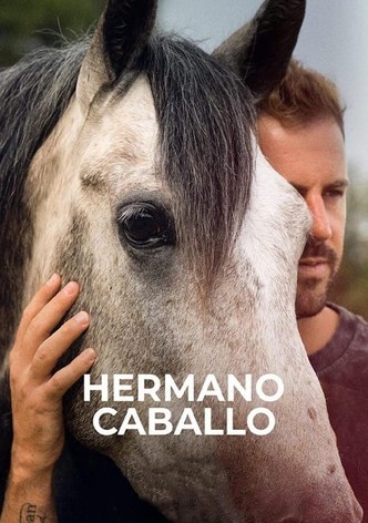 Historia de un caballo