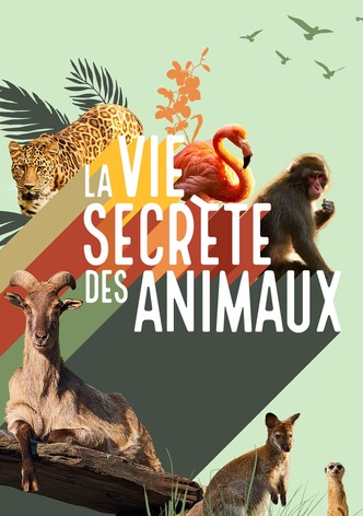 La vie secrète des animaux