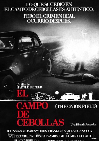 El campo de cebollas