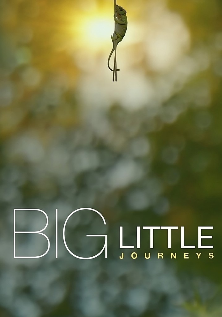 little nuts big journey