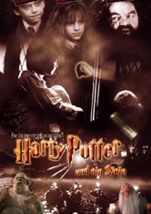 Harry Potter und ein Stein