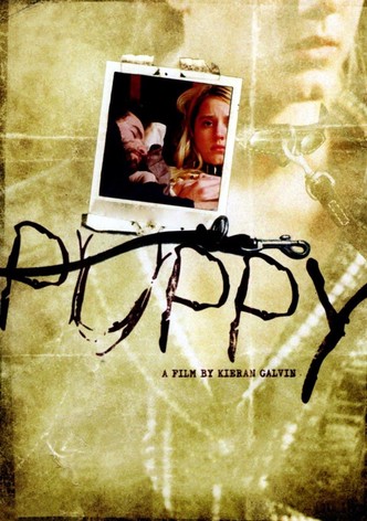 Puppy