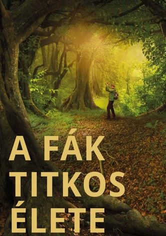 A fák titkos élete